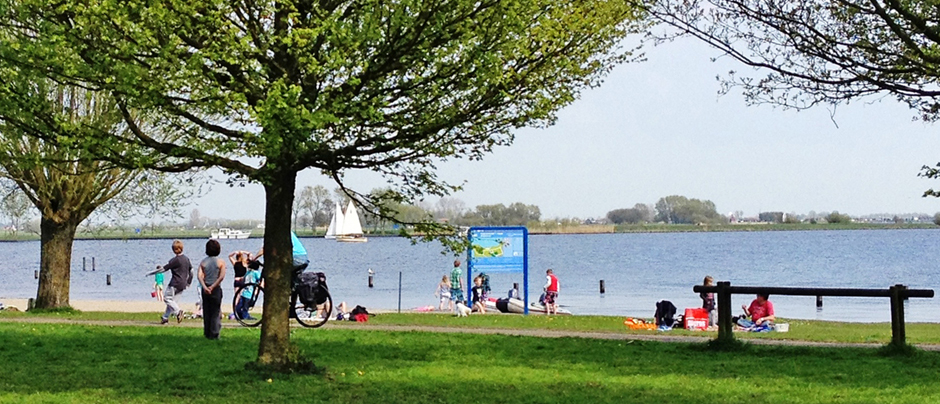 children swimming at Kaag Lake in South Holland Netherlands