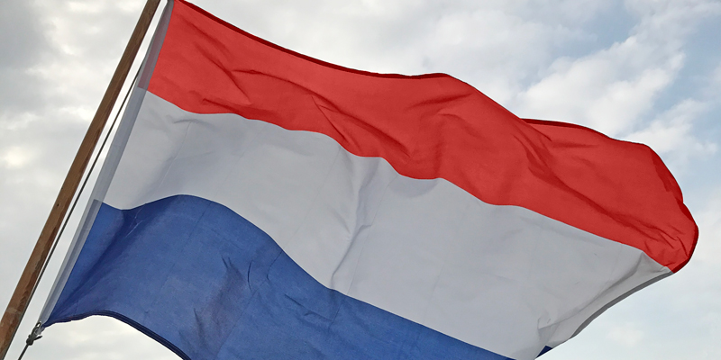 Dutch language skill levels in Netherlands