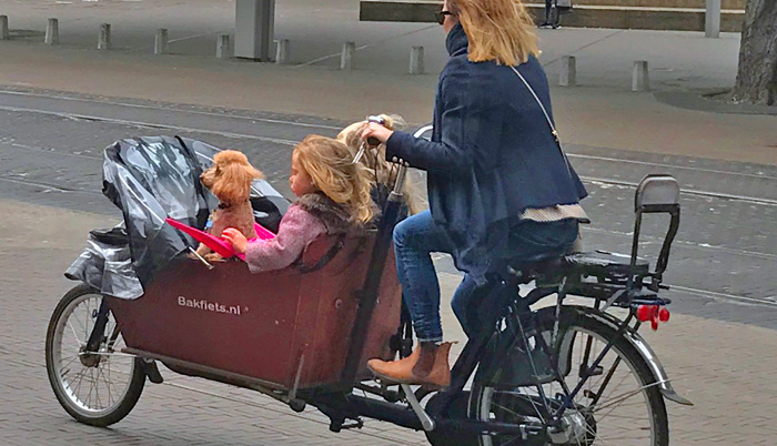 pets in Netherlands - mother cycling with daughters and dog in cargo bike