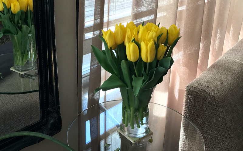 Dutch home insurance - tulips on table in Netherlands apartment home