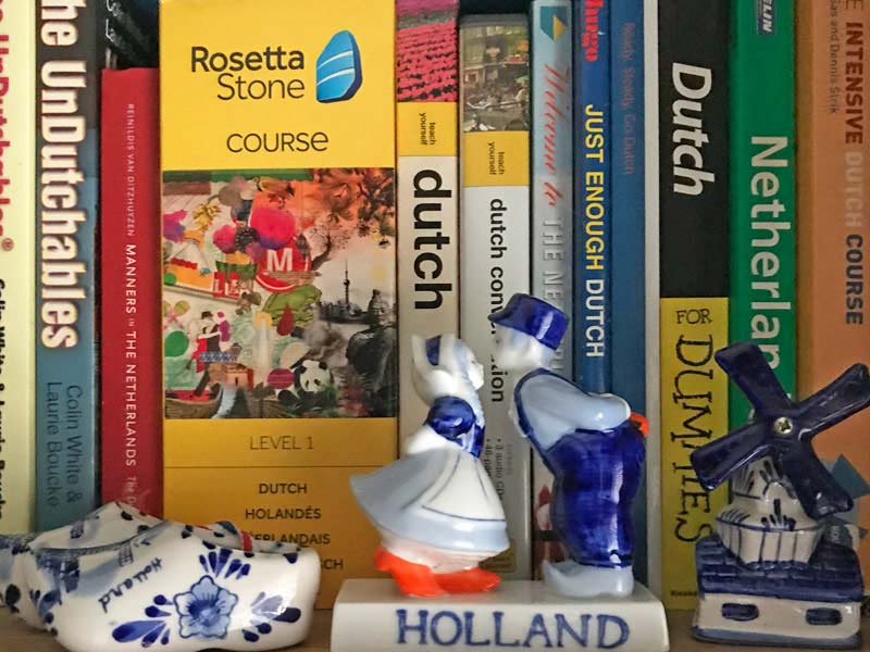 Dutch language training classes schools Netherlands