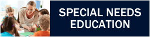 special needs education in Netherlands