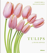 Tulips art photobook