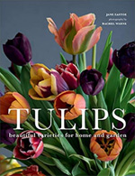 Tulips coffee table book