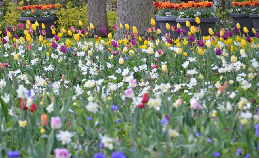 10 best Netherlands gardens