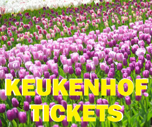 Keukenhof Dutch tulip park tickets