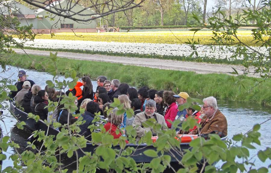 ways to see Dutch tulip fields - by electric flat-bottom boat
