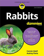 care guide for pet rabbits Netherlands