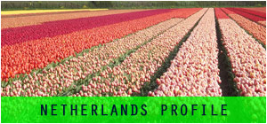 Netherlands country profile for expats
