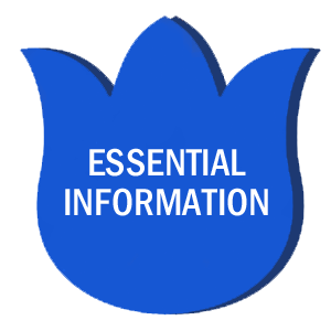 Netherlands essential information for expats