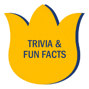 Netherlands fun facts and trivia